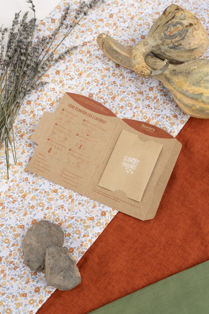 Llavors de carbassa llargueruda del Quintín