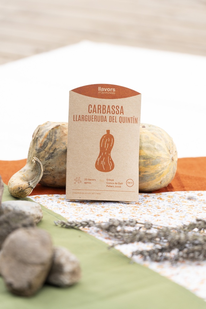 Llavors de carbassa llargueruda del Quintín